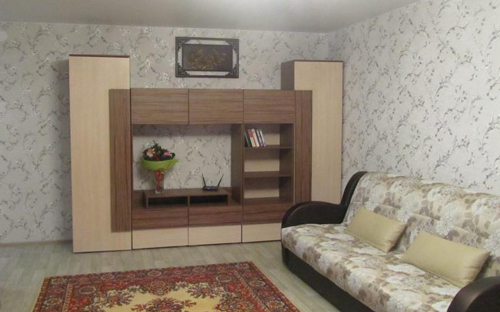 Apartment in Novgorod near Kremlin and old town