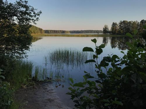 Borovno lake at Valdai National Park, photo by Igor Shmelev