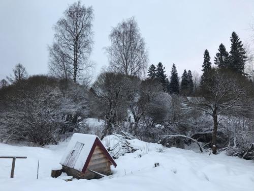 Gorneshno Russian village in winter