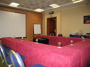 Renaissance Samara Hotel Conference Hall